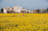 3月4日是什么日子(3月4日，又名“清明上河图节”)