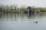 北京摄影函授学院(北京摄影函授学院：随时随地成为专业摄影师)